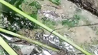 Looking for a fish or eel.. Thanks for watching..!! 18