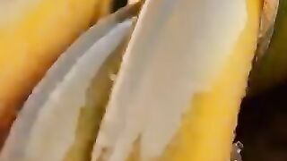 Looking for a fish or eel... Thanks for watching..!! 6