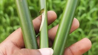 Easy To Make Unique And Powerful Arrow Slingshot From Bamboo
