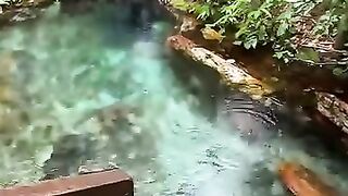nature ????????️