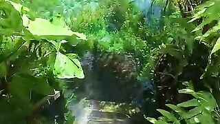 Nature ???? 5