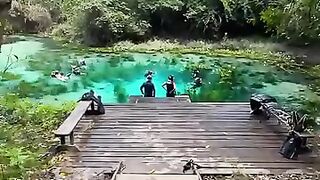 Blue paradise ????????