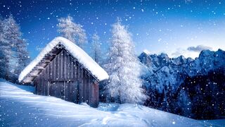Winter solstice - id | Trending HD Video 34