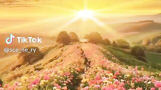 The flowers of love 2