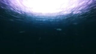 Rhythm Divine (Enrique Iglesias) Video Song