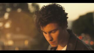 Señorita (Shawn Mendes, Camila Cabello) Video Song