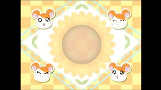 Hamtaro - upik si nona petir