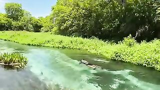 Sucuri River