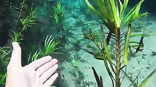 Amazing to swim in this river ????????????????????