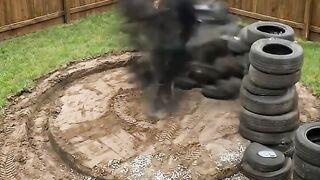 Turning Old Tires Into an Incredible DIY Dog Shed