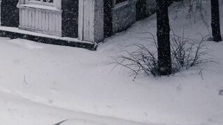 Winterhalter - car covered with snow | Trending HD Video
