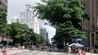 Av Paulista - São Paulo - Brasil 2