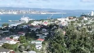 10x more SHEEP than PEOPLE!????????_#newzealandfact#newzealandlife #sheepfarming#geographyfacts #travelnz_720p.mp4