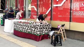 Artesanato na Av Paulista Sp