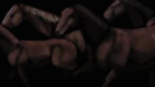 The Collection Fullmovie