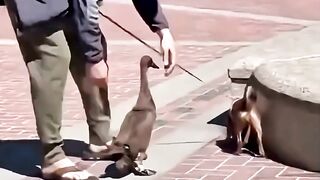 It's the best thing I've seen today