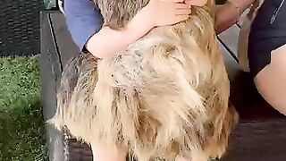 Phillies land All-Star closer Jhoan Duran ahead of MLB trade deadline 2