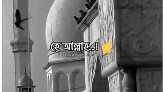 islamic 14