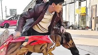 Baby dog#cute puppybarking#1mviral  #shorts