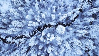 Winter Coat - id | Trending HD Video 29