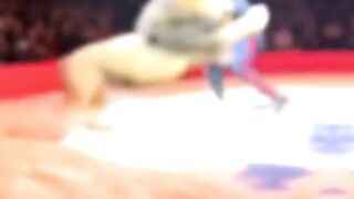 4 Circus Moments That Went Very WRONG