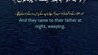 Quran 356