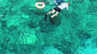 travelite - aerial view of snorkelers in vibrant coral reef | Trending HD Video