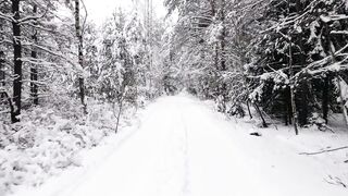Snow boot - snow covered forest | Trending HD Video