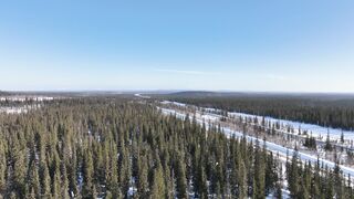 Travelpro - drone view of a winter forest and a road | Trending HD Video