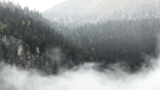 Travel Backpack - foggy forest | Trending HD Video