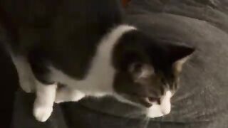 I annoyed him 2