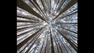Winter solstice - id | Trending HD Video 38