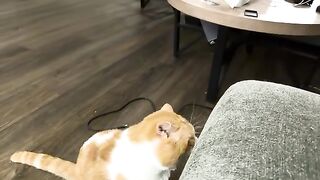 He rrreeeallly wantsa be bad