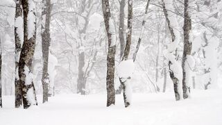 Winter solstice - id | Trending HD Video 39
