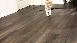 He wantsa be bad