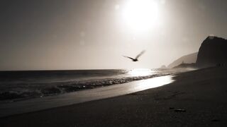 What Makes You Beautiful (One Direction)