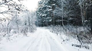 The Shy Snow Woman and the Cursed Ring - a snow covered forest | Trending HD Video