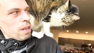 Eatable the TK