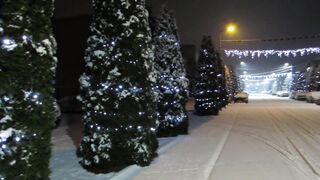 Winterhalter - road covered with snow | Trending HD Video 2