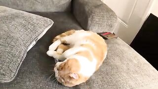 Help me attempt to hold back the aggression