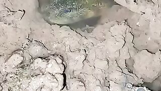 Looking for a fish or eel.. Thanks for watching..!! 22