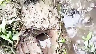 Looking for a fish or eel ... Thanks for watching..!!