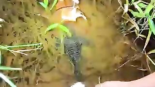 Looking for a fish or eel... Thanks for watching..!! 7