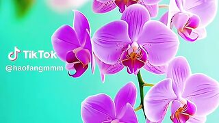 Flowers 42