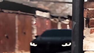Video viral 102