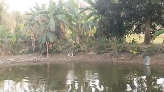 "This cool breeze by the pond and the afternoon's magic, casts a shadow of tranquility in the corners of the mind."