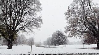 Winter solstice - snowfall in park | Trending HD Video 2