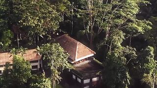 Travelpro - aerial view of tropical resort in lush jungle | Trending HD Video