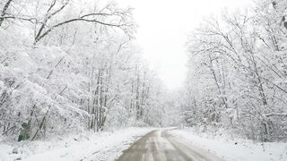 Winter Coat - road in snowy winter scenery | Trending HD Video