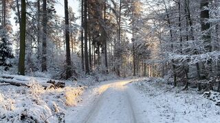 Winter Coat - id | Trending HD Video 32